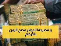 الدولار الأمريكي يكشف حقيقة عن اليمن لا يمكن لأي سياسي قولها... رقم واحد يشرح مستقبل البلد