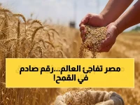 إنجاز تاريخي: مصر تتحدى المستحيل وتحصد المركز الثاني عالميًا في إنتاجية القمح… والوزير يعلن هذا الإنجاز الكبير