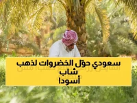 ما الذي ستفعله لو علمت أن أحدهم حول 150 ألف طن من فائضنا الزراعي إلى ذهب أسود؟.. مزارع سعودي فاز بلقب 'مهندس النكهات' العالمي