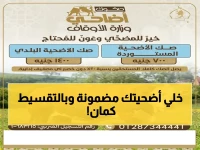 رسمي: احجز أضحيتك 2026 الآن.. أسعار صكوك الأضاحي تبدأ من 500 جنيه تقسيط - تعرف على 7 كيلو لحوم تحصل عليها