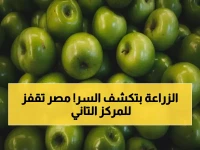 لوزير الزراعة سلاح رقمي يكشف عن سر '19.56 إردباً للفدان' الذي يضع مصر في المرتبة الثانية عالمياً