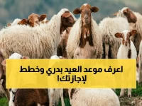 أول أيام عيد الأضحى 2026 في مصر ووقفة عرفات.. موعد الإجازة الطويلة ونصائح للتخطيط المبكر