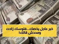 القرار رقم 6148 الصادر عن الهيئة القومية للتأمينات الاجتماعية يعطي زيادة 3500 جنيه.. ولكن لماذا لا أحد يتحدث عن الـ 2175 جنيه؟