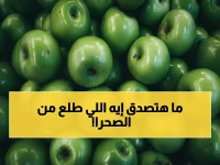 صحراء مصر تنتج التفاح الأخضر؟ وزير الزراعة علاء فاروق يكشف: الصادرات الزراعية وصلت 7.5 مليون طن.