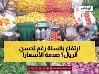 صادم: الريال يتعافى.. ولكن السلة الغذائية تقفز 14 دولارًا! هذه المفارقة القاسية تكشف معاناة اليمنيين (شاهد الأرقام المخيفة)