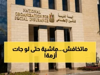 عاجل: هيئة التأمين تفضح سر بطء النظام وتؤكد: المعاشات لن تتوقف حتى لو واجهنا أزمة!