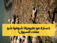 عاجل: سيول حماة تحاصر قرى البادية.. وصاعقة تقضي على قطيع أغنام - فرق الدفاع المدني تهرع لإنقاذ الأهالي