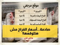 عاجل: بورصة الدواجن تعلن أسعار الفراخ اليوم.. هدوء مفاجئ بعد تذبذب الأسعار!