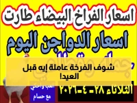 عاجل: أسعار الفراخ اليوم قبل العيد.. كم تبلغ الأرقام الصادمة التي تخفيها الأسواق؟