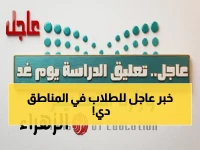 عاجل: قرار رسمي يوقف الدراسة الحضورية اليوم في ثلاث محافظات.. تربة والخرمة ورنية تحت الطقس الخطير
