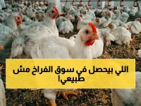 سلطة سوق الدواجن تعلن عن سرقة في التسعير: جزء واحد يساوي ثلاثة أضعاف الدجاجة كاملة... والحقيقة الصادمة هي 240 جنيهًا!
