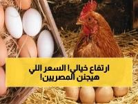 الحقيقة الكاملة: أسعار الدواجن اليوم في مصر - أرقام صادمة للفراخ البيضاء والبلدي والبيض في آخر تحديث