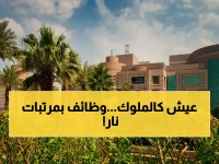🏥 عاجل: جامعة نجران تفتح باب التوظيف لـ 4 تخصصات صحية... رواتب مميزة للرجال والنساء عبر «مسار»!