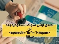 سلطة تزيل عبئاً: المملكة العربية السعودية تخلق نموذجاً جديداً بعد 60 عاماً من التبعية