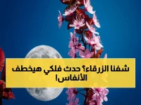 عاجل: مايو 2026 استثنائي… قمر الزهور يكتمل نهاراً ويظهر فيه 'القمر الأزرق الدقيق' لأول مرة بعد عامين!