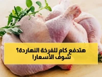 عاجل للمستهلك المصري: آخر أسعار الدواجن للجمعة 1 مايو 2026 - البيضاء 105ج، البلدي 120ج، البانيه 230ج... هل تستمر الاستقرار؟