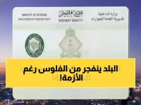 زلزال مالي يهدد 13 مليون مقيم... هكذا حوّلته رؤية 2030 إلى فرصة وفرت 3.2 مليار ريال لدعم الاقتصاد الوطني