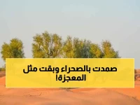 استنفار في المملكة لإنقاذ إرث تاريخي لا يقدر بثمن! صمد لأكثر من 6 عقود في قلب الصحراء.. لن تصدقوا كيف تم إنقاذه من الموت! (صورة)
