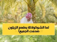 ماذا فعل مزارع سعودي بـ23 مليون شجرة زيتون؟ فراس الجابر يبتكر أول شوكولاتة بالزيتون في العالم