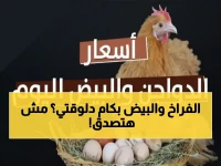 عاجل: أسعار الفراخ والبيض اليوم في مصر… هذا هو السعر النهائي للمستهلك مع بداية مايو 2026