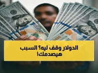 عاجل: الثبات المذهل للدولار اليوم - خبراء يكشفون السبب الخطير الذي يحمي الاقتصاد المصري من الانهيار!