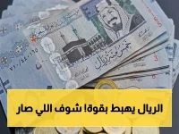 عاجل: الريال السعودي يسجل انهياراً حاداً أمام الجنيه المصري.. هل يستمر هذا التراجع؟