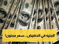 صدمة المصريين: الدولار يقترب من 54 جنيهًا والبنوك تشهد قفزات هائلة.. هل سيتوقف عند هذا الحد؟