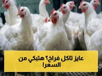 انفجار أسعار الدواجن والبيض اليوم… مفاجأة الساسو تصل 111 جنيه للكيلو وأسعار البانيه القاسية!