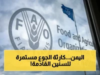 خطر كارثي يكشف: الأمم المتحدة تتوقع استمرار انعدام الأمن الغذائي في اليمن لـ3 سنوات أخرى - هل ينجو 57% من السكان من الجوع؟