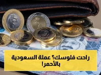 تحذير للمسافرين: الريال السعودي يتراجع اليوم.. أسعار مفاجئة في البنوك الكبرى قبل موسم الحج 2026!