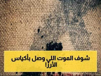 عاجل: الجمارك تكشف أخطر طريقة تهريب في تاريخها - 470 كيلو من السم الصاروخي داخل كياس أرز!