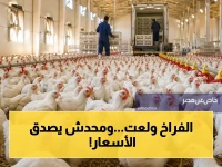 عاجل: أسعار الفراخ اليوم تثير صدمة كبيرة… هل تستمر الزيادات؟ شاهد الأرقام المفاجئة لكل نوع!