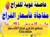 عاجل: أسعار الدواجن اليوم تشتعل.. البيضاء 107 جنيه والسasso 118 والبلدي يقفز لـ125 جنيه - هل تتحمل الأسرة المصرية؟