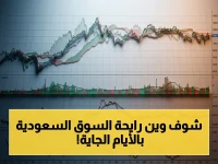 عاجل: تقرير WarrenAI يكشف: السوق السعودية في المنطقة الرمادية... وقرار خطير قد يكون مفتاح النجاح أو الإفلاس!