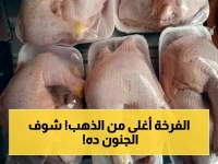 عاجل: انفجار أسعار الدواجن والبيض اليوم - الفراخ الساسو تقترب من 120 جنيهًا للمستهلك! تحديث مفاجئ للأسعار والأسباب الصادمة