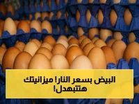 عاجل: ارتفاع صادم في أسعار البيض يصل إلى 95 جنيهاً للكرتونة - كيف تؤثر على ميزانية الشهر؟