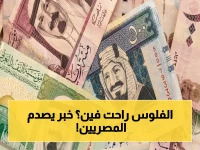 عاجل: تراجع صادم في 5 بنوك مصرية خلال أسبوع… سعر الريال السعودي يسقط بـ 24 قرشاً أمام الجنيه!