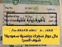 المملكة العربية السعودية تكتب النهاية لعصر الكفالة: هذا ليس تغييرا إجرائيا، هذا استعمار للمواهب العالمية عبر تأشيرة العمل الحر، الملكية العقارية، وتأسيس الشركات.