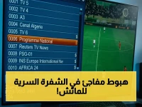 حصري: تردد القناة المجانية الناقلة لنهائي الزمالك واتحاد العاصمة… شفرة سرية تضمن المتابعة دون انقطاع!