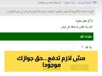 رسمي: رصيد الجوازات مجاني الآن… 3 خطوات سهلة للاستعلام الفوري عبر أبشر!