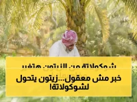 ماذا يفعل مزارع سعودي بـ 23 مليون شجرة زيتون؟.. 'فراس الجابر' حوّلها إلى شوكولاتة أبهرت 7 دول.