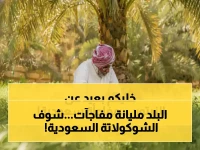 رائحة شوكولاتة غريبة أذهلت الزوار.. فراس الجابر يحقق أول إنجاز عالمي من 23 مليون شجرة زيتون