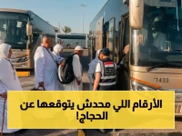 عاجل: إحصائية صادمة… 4410 حجاج وصلوا إلى المدينة المنورة خلال الساعات الأخيرة - أسماء المحافظات