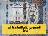 شاهد الآن: أسعار الريال السعودي في مصر اليوم - البنك المركزي يثبت على 14.06 جنيه للبيع وسط استعدادات موسم العمرة!