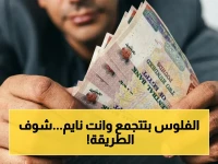 سر الربح الآمن: كيف تحقق راتب 20 ألف جنيه شهرياً من البنوك المصرية في 2026؟ عائد يصل لـ22%!
