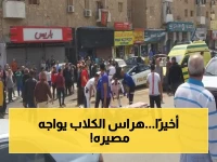 محاكمة هراس الشارع التجاري تشهد دخول 3 آلاف مواطن.. هل يعاقب على جريمة أثارت حالة غضب واسعة في الإسماعيلية؟