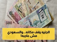 ثبات صادم: الريال السعودي يعلق عند 14.06 جنيه في البنوك الحكومية… هل انتهت رحلة التذبذب قبل عيد الأضحى؟