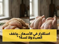 أسعار البانيه تثبت اليوم.. كيلو الدجاج بين 210 و225 جنيهًا في كل المحافظات