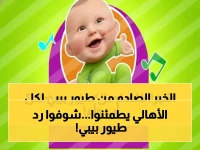 هل تعلم أن آلافاً مثلك يبحثون عن محتوى آمن لأطفالهم؟ رد رسمي من 'طيور بيبي' يضمن أعلى جودة بث في رمضان.