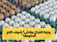 عاجل: أخيراً يحصل المواطن على بيض ودواجن بأسعار أقل 25% من الأسواق… 5 منافذ متحركة تضرب مناطق الاحتياج!